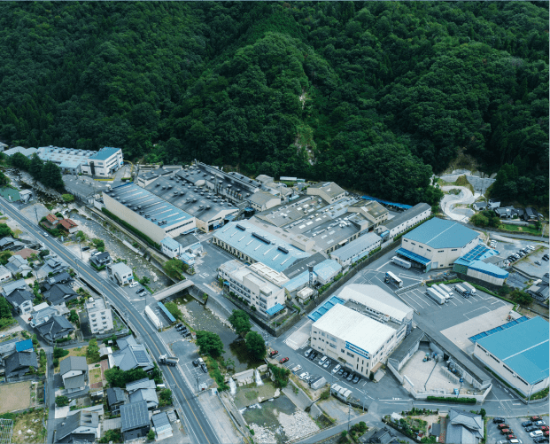 Kabe Plant